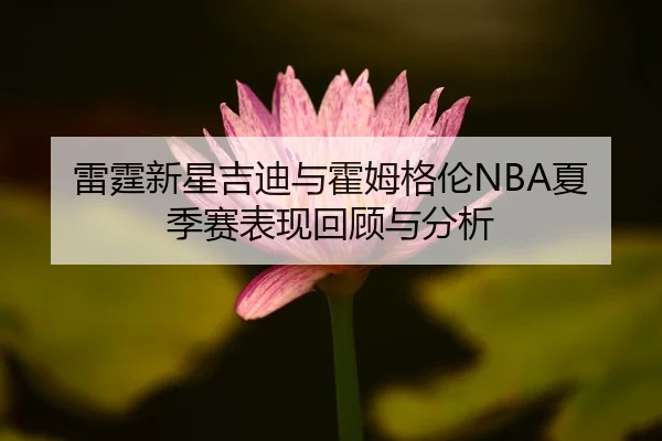 雷霆新星吉迪与霍姆格伦NBA夏季赛表现回顾与分析